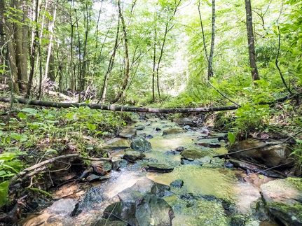 Land for sale in Raleigh County, West Virginia