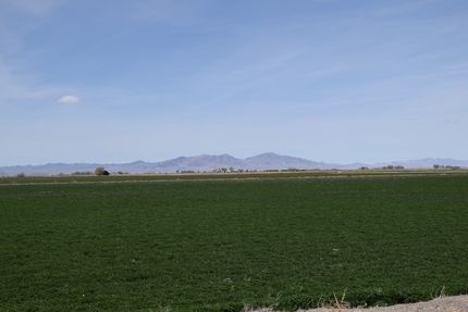 Undeveloped Land for sale in Millard County, Utah