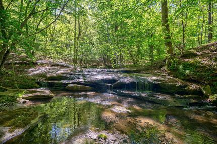 Land for sale in Elbert County, Georgia