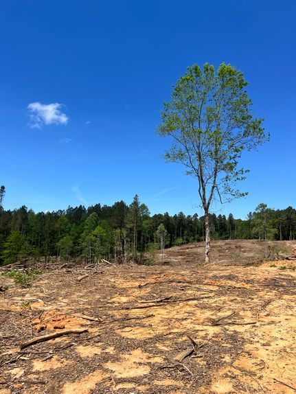 Land for sale in Scott County, Mississippi