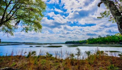 Land for sale in Camden County, Georgia
