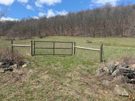 Timberland Property in Greene County, New York