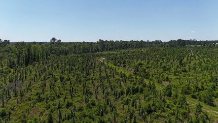 Land for sale in Toombs County, Georgia