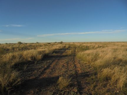 Undeveloped Land for sale in Reeves County, Texas