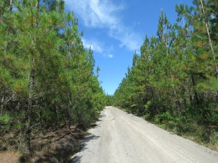 Land for sale in Nassau County, Florida
