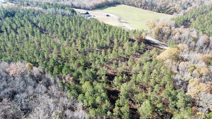 Land for sale in Lawrence County, Alabama