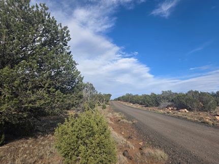 Land for sale in Apache County, Arizona