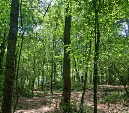 Timberland Property for sale in Jefferson County, Alabama