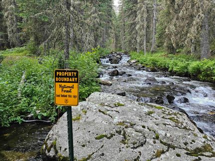Riverfront Property for sale in Madison County, Montana