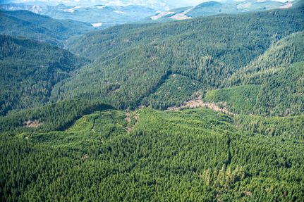 Land for sale in Lane County, Oregon