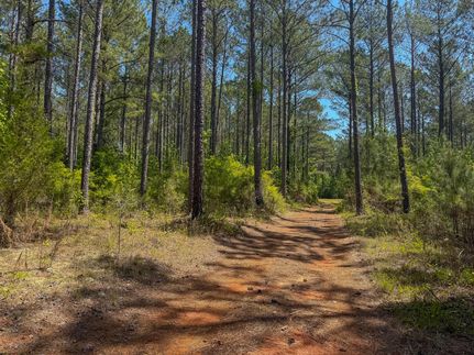 Land for sale in Webster County, Georgia