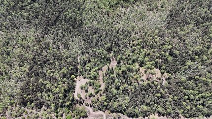 Land for sale in Collier County, Florida