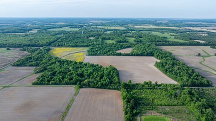 Undeveloped Land for sale in Wayne County, Illinois