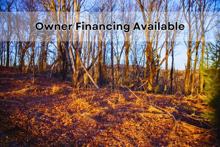Undeveloped Land for sale in Watauga County, North Carolina