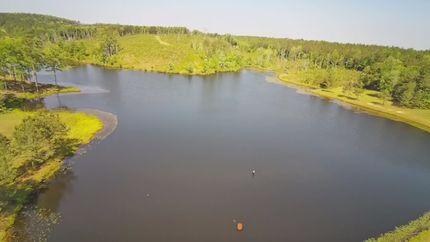 Hunting Property for sale in Perry County, Alabama