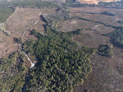 Undeveloped Land for sale in Holmes County, Florida