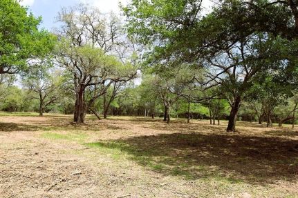 Land for sale in Colorado County, Texas