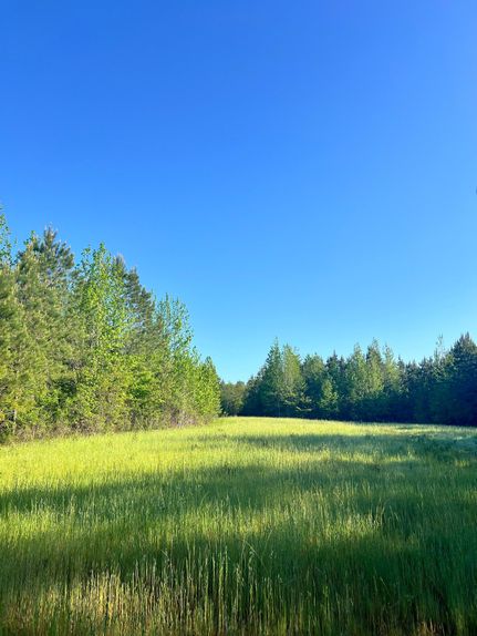 Land for sale in Lowndes County, Alabama