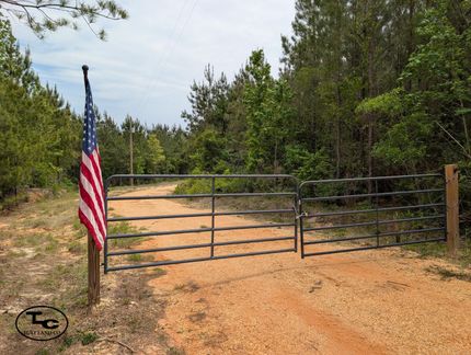 Land for sale in Butler County, Alabama