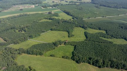 Land for sale in Charlotte County, Virginia