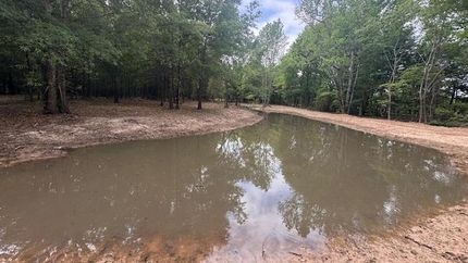 Land for sale in Red River County, Texas