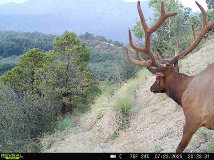 Undeveloped Land for sale in Mesa County, Colorado