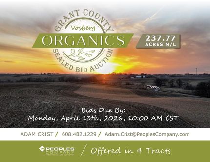 Undeveloped Land in Grant County, Wisconsin