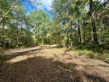 Land in Lowndes County, Alabama