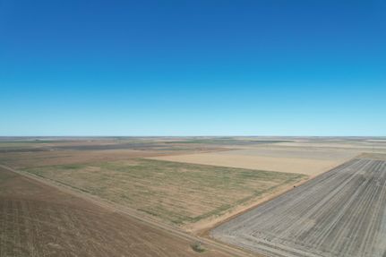 Undeveloped Land for sale in Oldham County, Texas