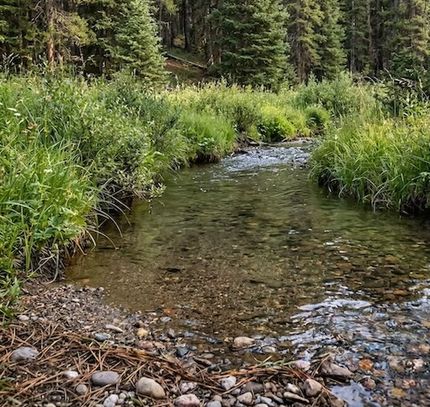 Riverfront Property for sale in Boise County, Idaho