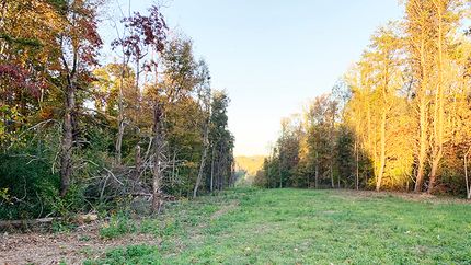 Timberland Property for sale in Owen County, Indiana