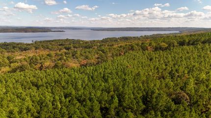 Farm and Ranch for sale in Yell County, Arkansas
