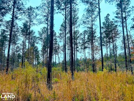 Land for sale in Oglethorpe County, Georgia
