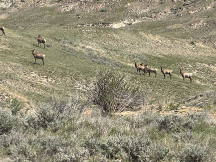 Recreational Property for sale in Rosebud County, Montana