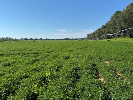 Recreational Property for sale in Baker County, Georgia