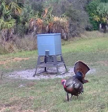 Recreational Property in DeSoto County, Florida