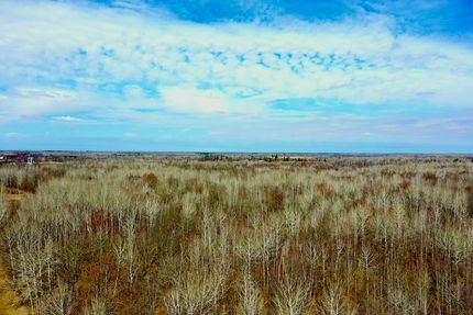 Timberland Property for sale in Pine County, Minnesota