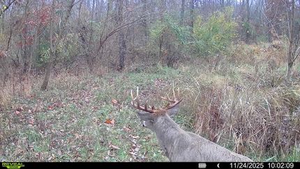 Land for sale in Wayne County, Illinois