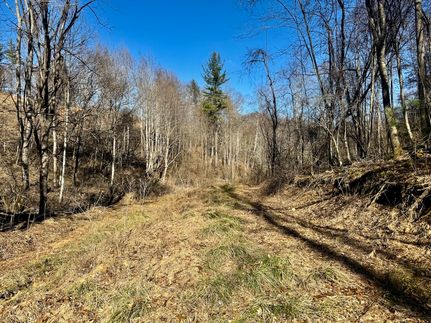 Timberland Property for sale in Johnson County, Tennessee