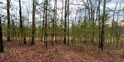 Land for sale in Saline County, Arkansas