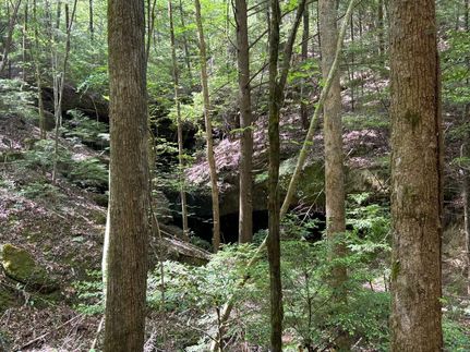 Timberland Property for sale in Winston County, Alabama