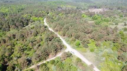 Recreational Property for sale in Winston County, Alabama