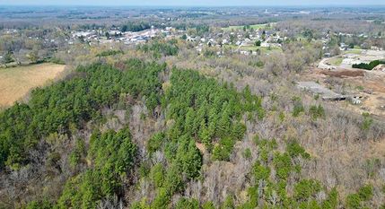 Timberland Property for sale in Charlotte County, Virginia