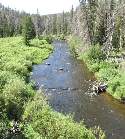 Lakefront Property for sale in Albany County, Wyoming