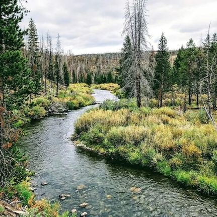 Farm and Ranch for sale in Albany County, Wyoming