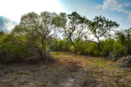 Land for sale in Bee County, Texas