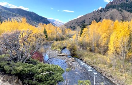 Recreational Property for sale in Park County, Wyoming