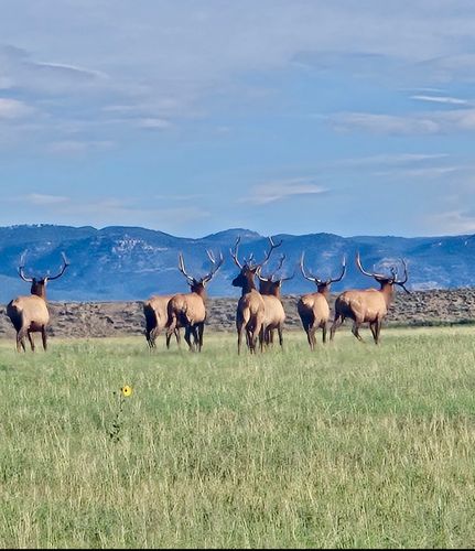 Land for sale in Colfax County, New Mexico