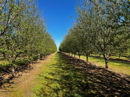 Recreational Property for sale in Tehama County, California