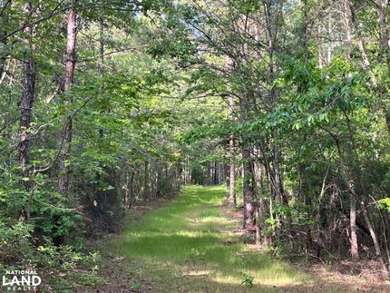 Recreational Property for sale in Kemper County, Mississippi